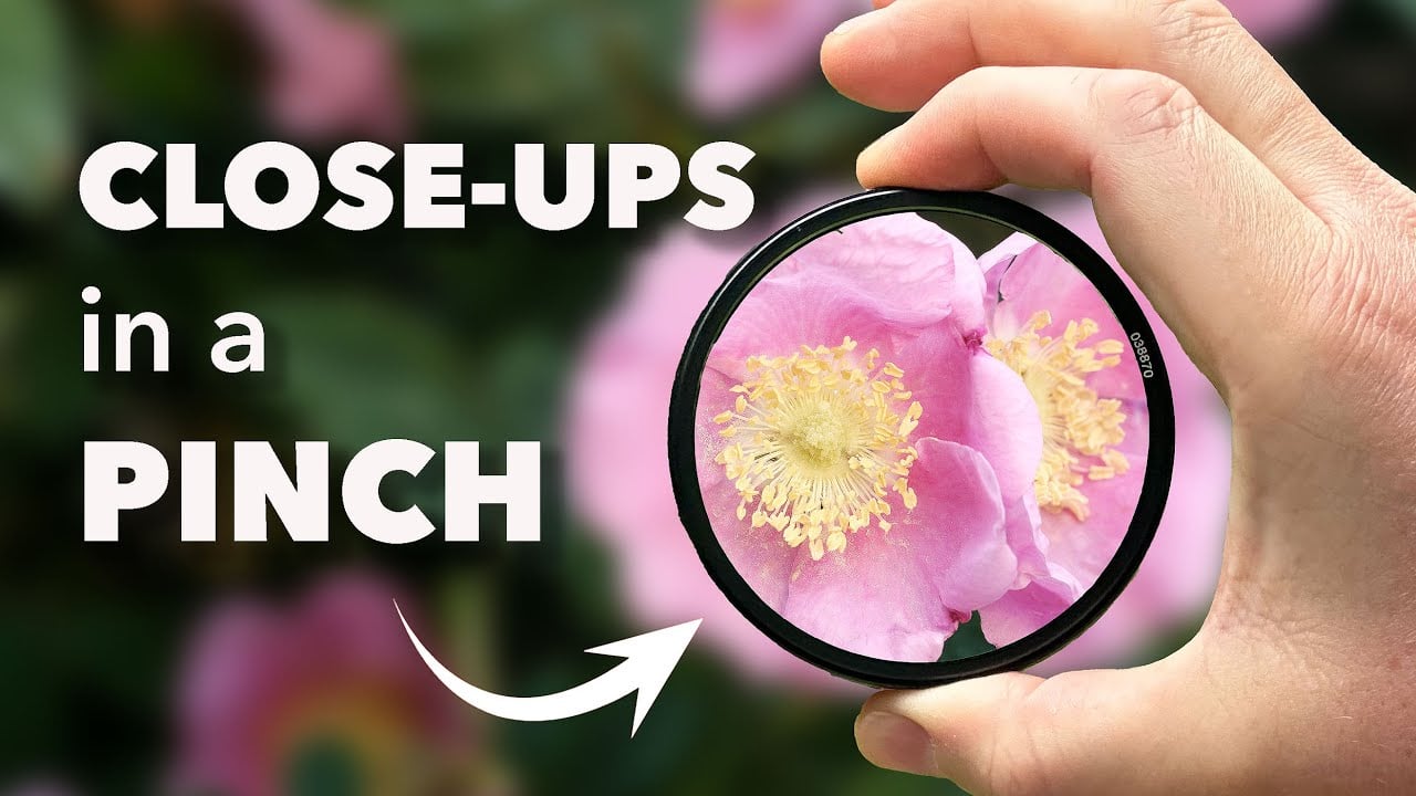 Capture stunning close-ups: Four macro photography methods for any budget