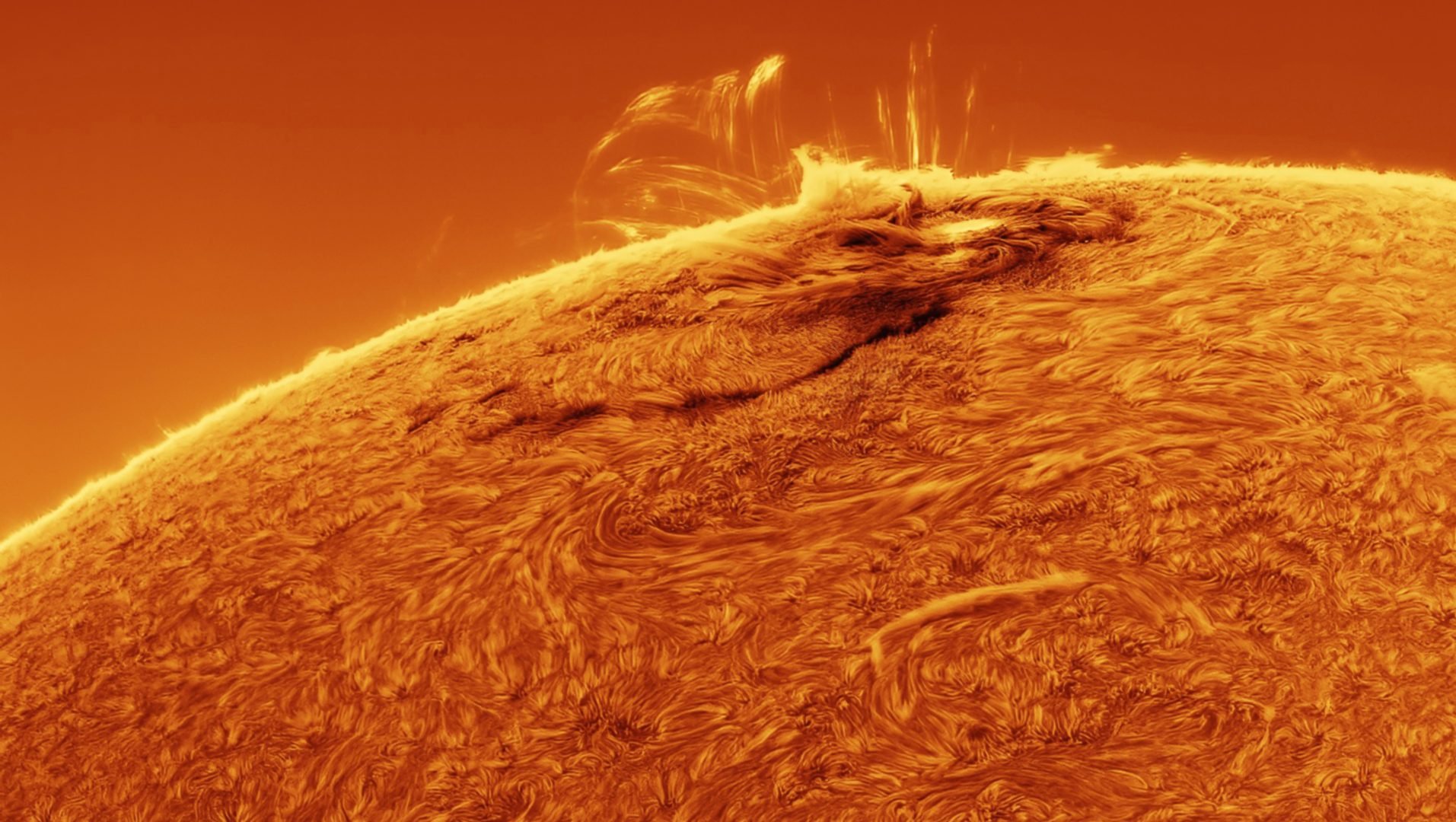 Astronomy Photographer of the Year 2024 shortlists