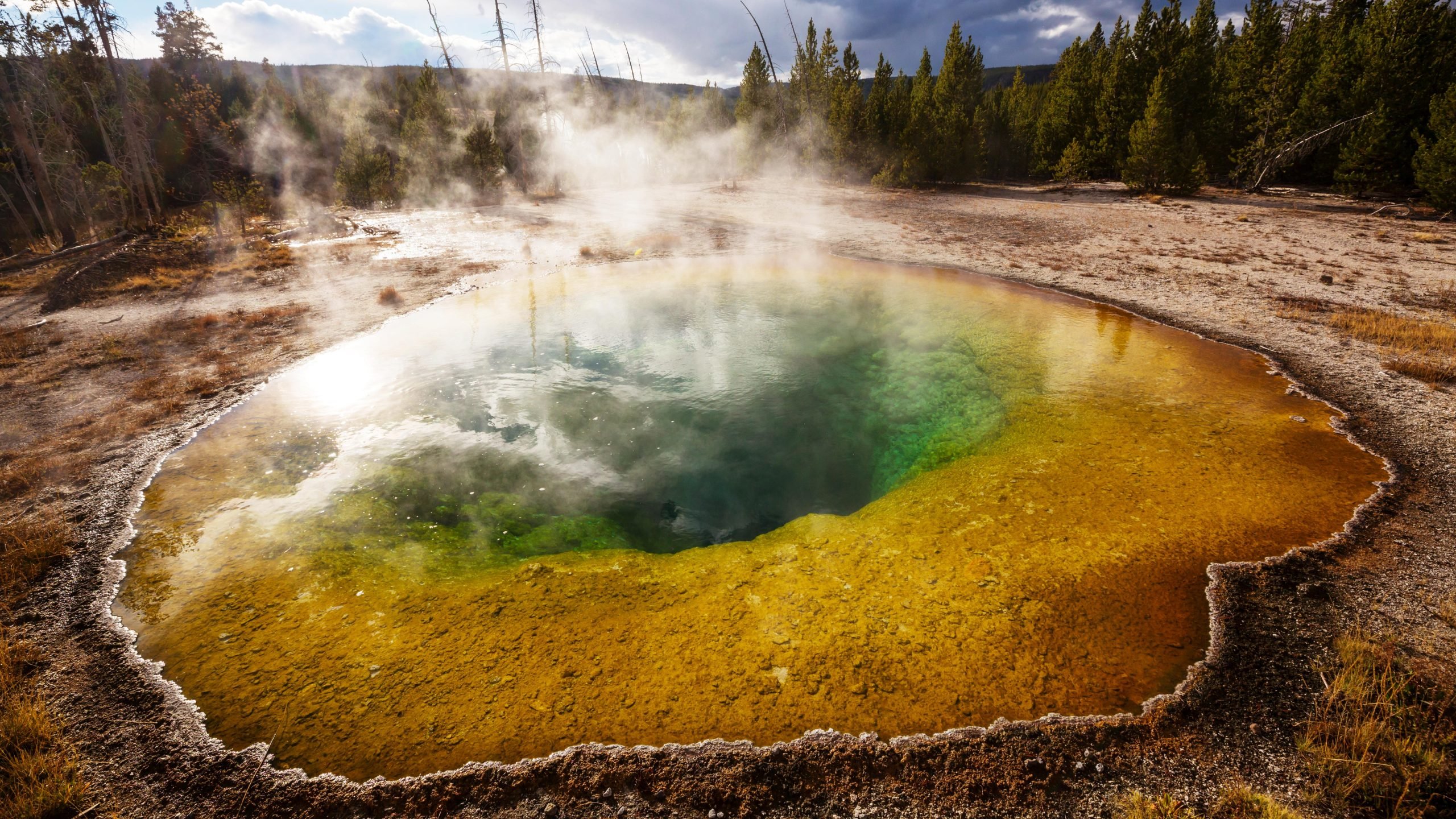 Yellowstone tourist gets 7-day jail sentence after walking on geothermal area for photo
